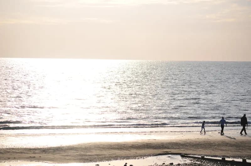 মডুলার ড্রয়ার অর্গানাইজার সেট (৬ পিস)